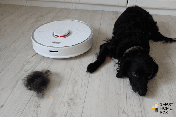 Robot Vacuums For Pet Hair, Best Robot Vacuum For Hardwood Floors And Dog Hair